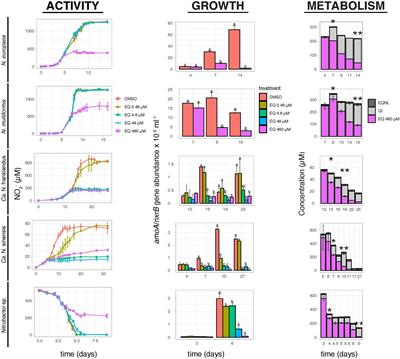 Comparison of Novel and Established Nitrification Inhibitors Relevant to Agriculture on Soil Ammonia- and Nitrite-Oxidizing Isolates